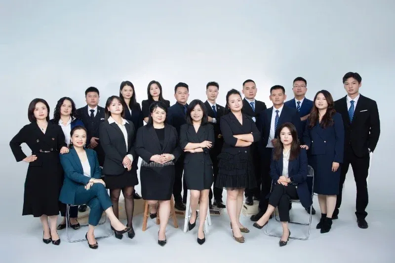 Tohify company registration and accounting team