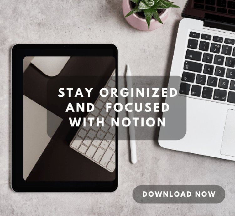 200 Premium Notion Templates for Every Need