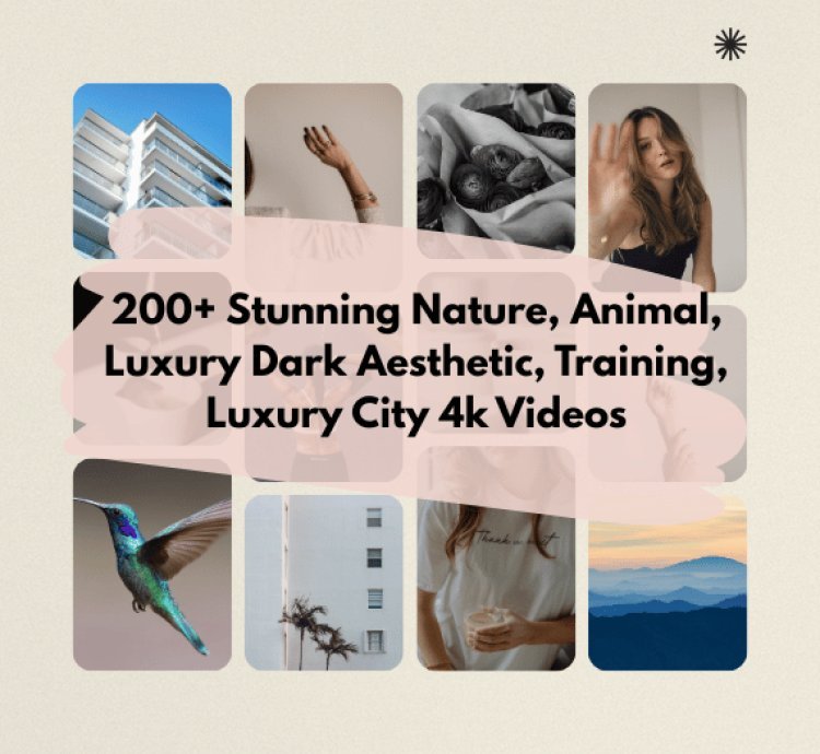 200+ Short Videos for TikTok, Instagram, Shorts.  Nature, Luxury City, Training  etc