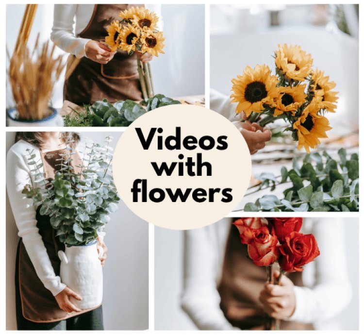 340 ready made videos for instagram, TikTok, Youtube