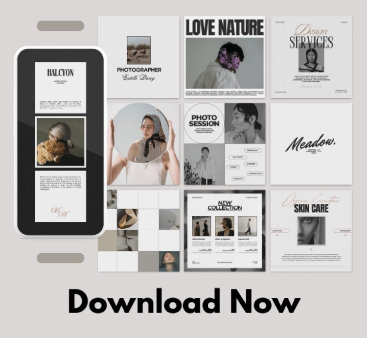 250+ Premium Shopify Themes Bundle for Any Business