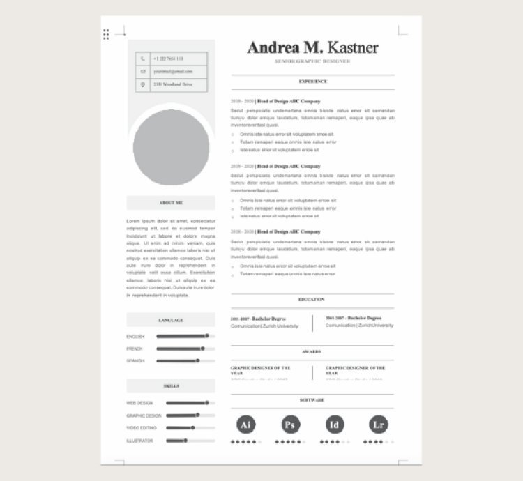 50+ Professional Resume CV Ready made Word Templates