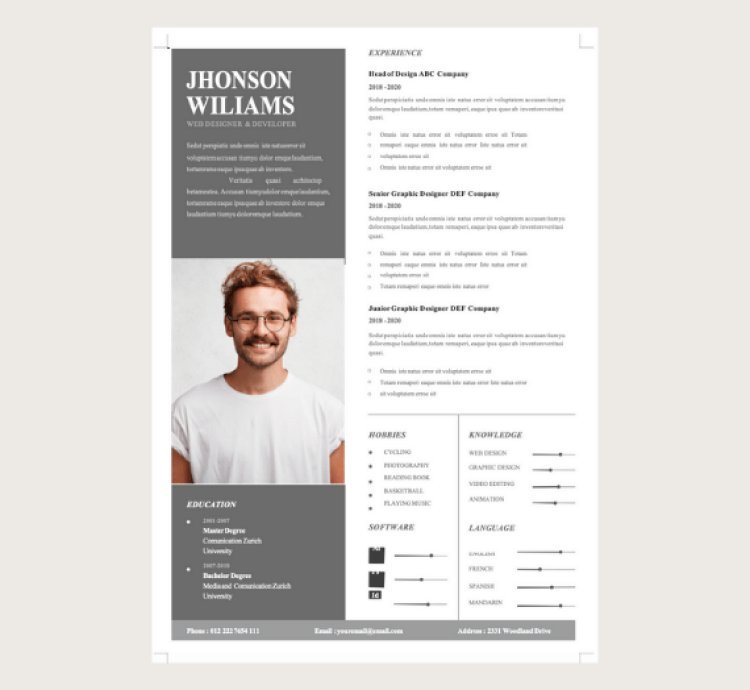 50+ Professional Resume CV Ready made Word Templates