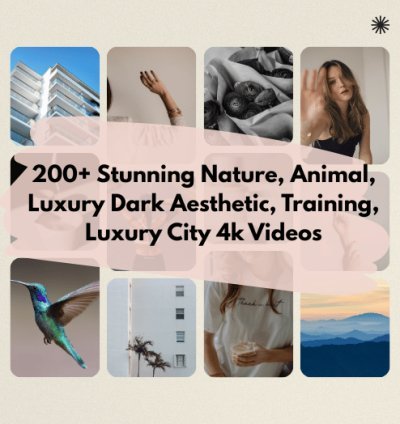 200+ Short Videos for TikTok, Instagram, Shorts.  Nature, Luxury City, Training  etc