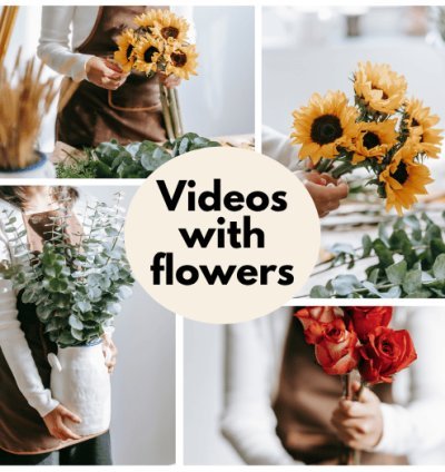 340 ready made videos for instagram, TikTok, Youtube