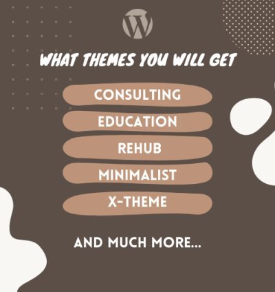 20+ Premium WordPress Theme | Build a Stunning Website in Minutes, No Code Needed. 3