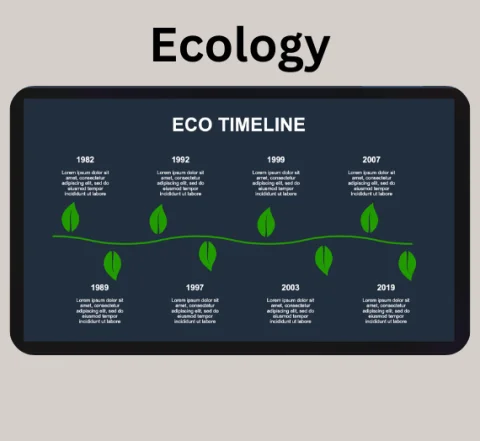 200+ Ready-to-Use Mega Pack Premium PowerPoint Templates | Over 50 Categories 5