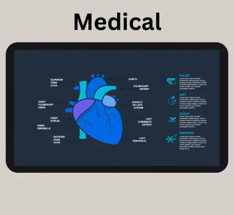 200+ Ready-to-Use Mega Pack Premium PowerPoint Templates | Over 50 Categories