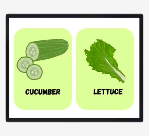 Printable PDF Flashcards for Kids and Adults | 11 Categories 10