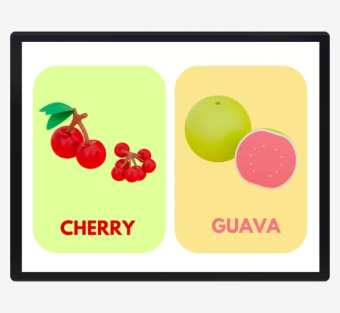 Printable PDF Flashcards for Kids and Adults | 11 Categories 8