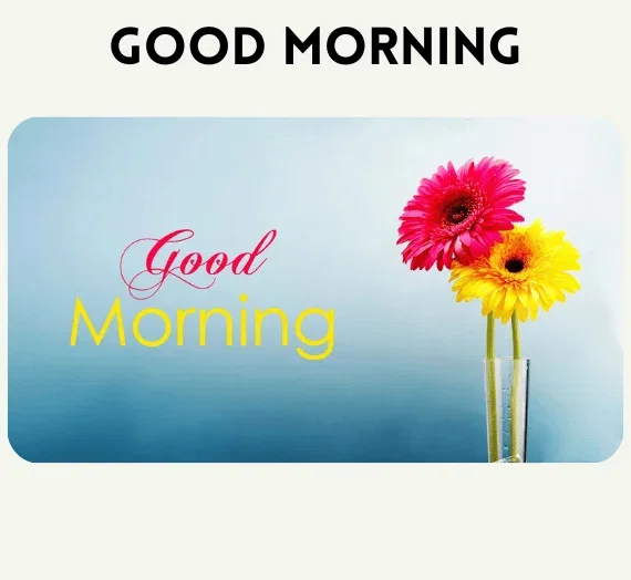 250 High Resolution PC Wallpapers | 6 Categories