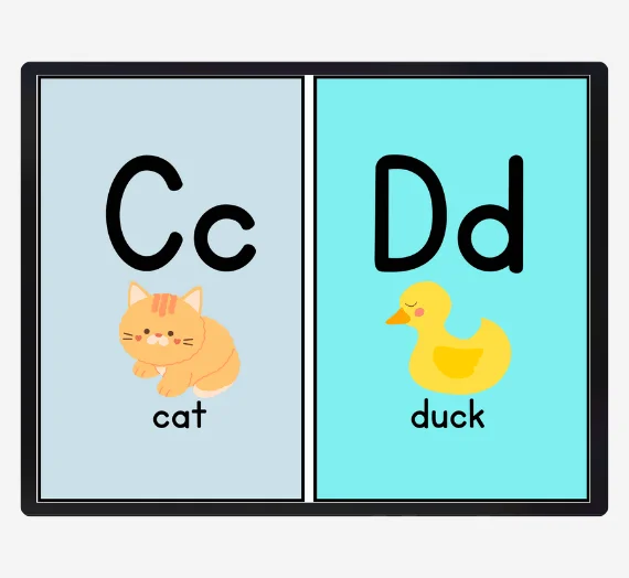 Printable PDF Flashcards for Kids and Adults | 11 Categories